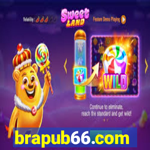 brapub66.com