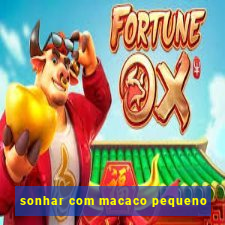 sonhar com macaco pequeno