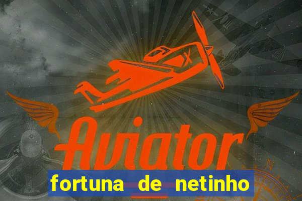 fortuna de netinho de paula