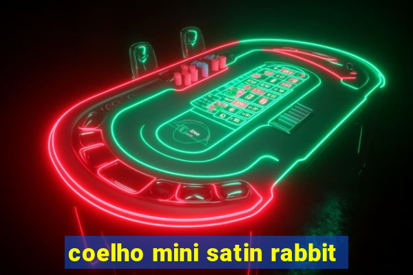 coelho mini satin rabbit