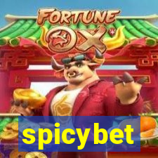 spicybet-1.com