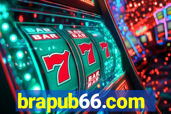 brapub66.com