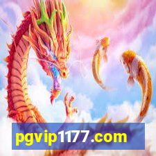 pgvip1177.com